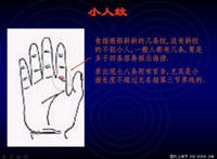 手掌纹路图解