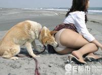 女人与交狗配动态图