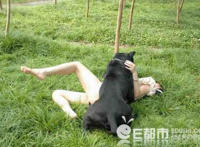 女人和狗在野外交配图