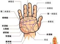 婚姻线分叉图解