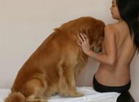 女子与狗性交拔不出(图)