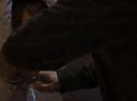 小日本爱情动作片  仓老湿视频全集