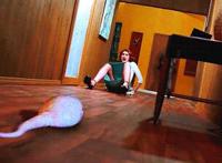 跳蛋是什么东西怎么用 穿蝴蝶出门经历