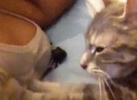 跟兄弟一起搞我女朋友GIF动态图:ooxx图