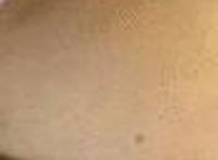 肌肉男大鸟硬起来图:动漫禁图 萝莉受辱 电车 之狼图片