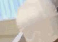 gif福利资源 郑爽ps婐照 