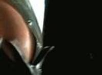 父女文图片欣赏：柳儿依依，偷香np兄妹全部章节图片