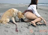 疯狂做爱真实兽交偷拍玩3P（图）