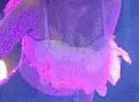 真人av图解吧百度贴吧动态图片：最新av图解百度贴吧 图解动画av百度贴吧