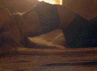 世界硬鸡大赛全集142p图片：恶心的图片超恶心