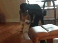 嘿咻爱爱图动态图片：我在火车上的厕所里