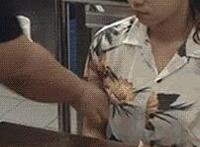 动态图受不了了快进来 叔叔你快进来受不了txt