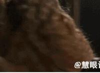 日本扒衣党动态图：日本街头强袭吸奶