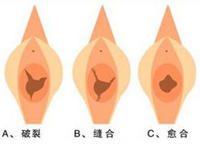 完整的初女模图片 初女模真实图片 
