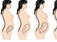 怀孕4个月注意事项