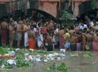 印度女人随地大小便实拍图集:印度女性露天排便图