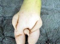 女生说吃蘑菇什么意思