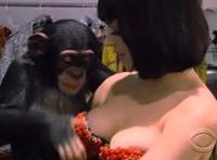 超短裤恶心穿法图片：作艾很恶心图片腿张开爱爱爱动态图