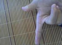 弟弟多大才算正常