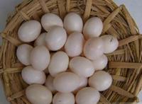 孕妇能吃鸽子蛋吗