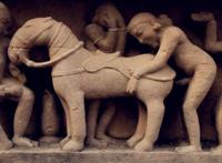 正常男人弟弟有多长