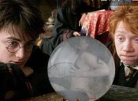 里番漫画女帝被海军 海军x女帝漫画图片 路飞x女帝动漫本子gif图片