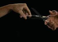 男主从小养着女主宠 种田文肉肉多的的邪恶gif：小房东的肉肉片段