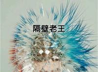 隔壁老王是什么意思