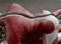 女奥吧 百度贴吧图片。 女奥吧莉莉卡13集图片