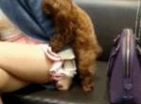 女生帮男生鲁管可以吗 帮男人用嘴鲁管动态