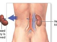 肾阴阳两虚吃什么药