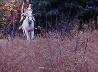 尿道注水图 体罚男生往尿道注水