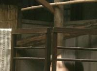 洗濯屋全集在线播放 母娘家庭教师无修 母性本能全集在线观看