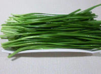 吃什么补肾壮阳最快