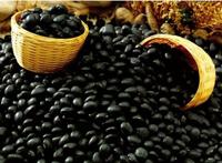 补肾的食物有哪些