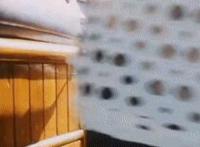 摸男生的丁丁gif:妈妈睡不着脸上就张红