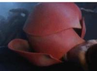 两根棍儿同时进入gif 又黑又粗又硬进洞里