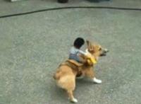 性高,潮样子gif:怎样达到c点图片