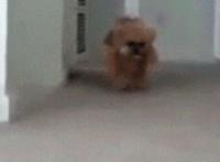 女女百合过程gif：闺蜜之间互相安慰