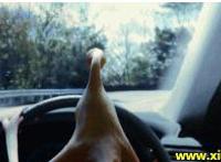 男女上下床叉叉图 男女叉叉圈圈教程色gif动态图片素材