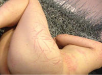 女艺术家裸睡铁丝床36 邓祡琪赤身裸体 女人裸体艺术邪恶图片