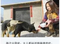 狗和人做事