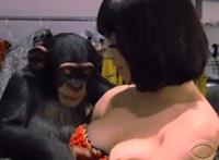 狗狗和我做了爱电影 和狗狗做爰真长真舒服