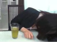 大吴哥邪恶动态网：邪恶男人j j动态图片