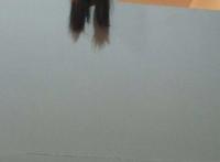 我同学被室友给吓的住院了