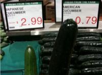 黄瓜粗细的区别在哪呢