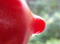 粉红的头头！！你懂得