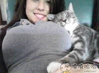 躺在胸部睡觉的小猫咪