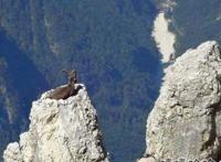 高手就是孤独啊