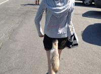 夹着尾巴的狐狸妹子